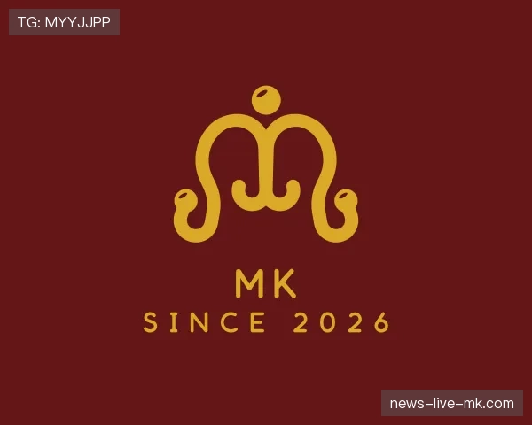 关于MK世界杯
